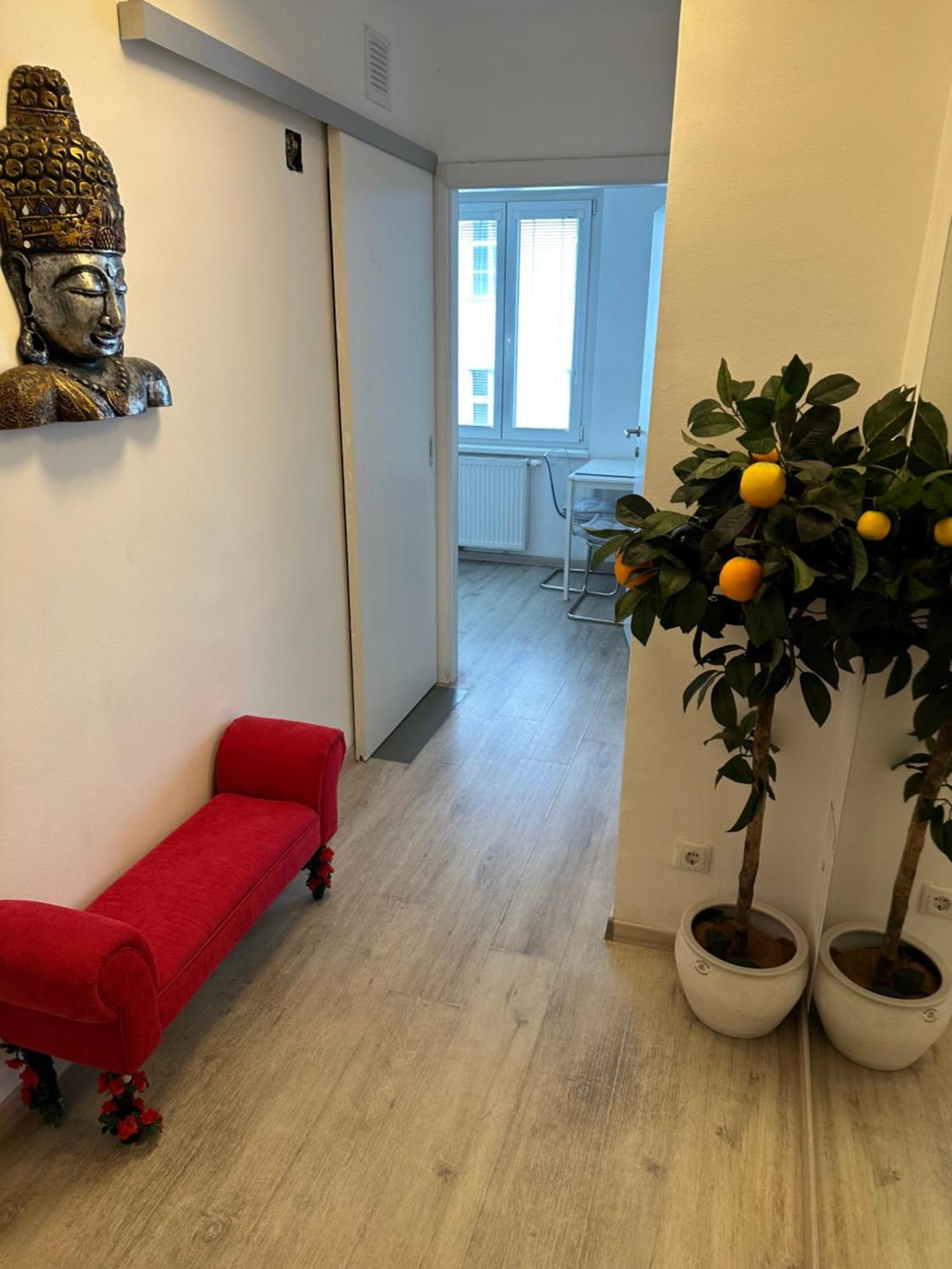 Apartment Opera Wien
